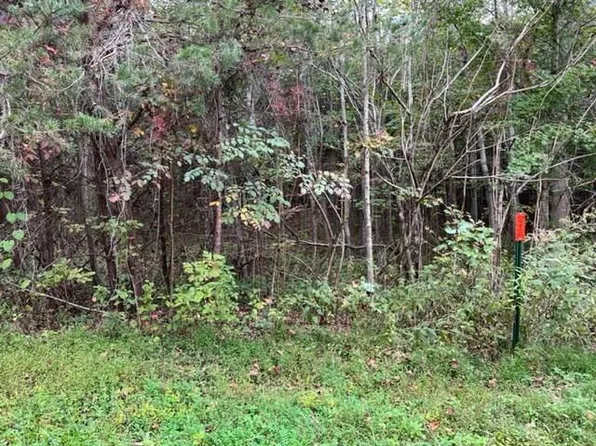 LOT 66 Big Hollow Rd, Monroe, TN 38573