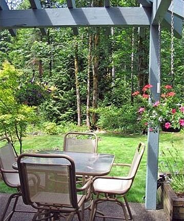 Back Porch/Yard