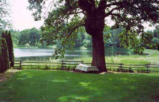 Older backyard view