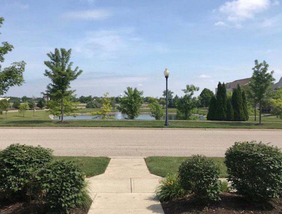View of the pond