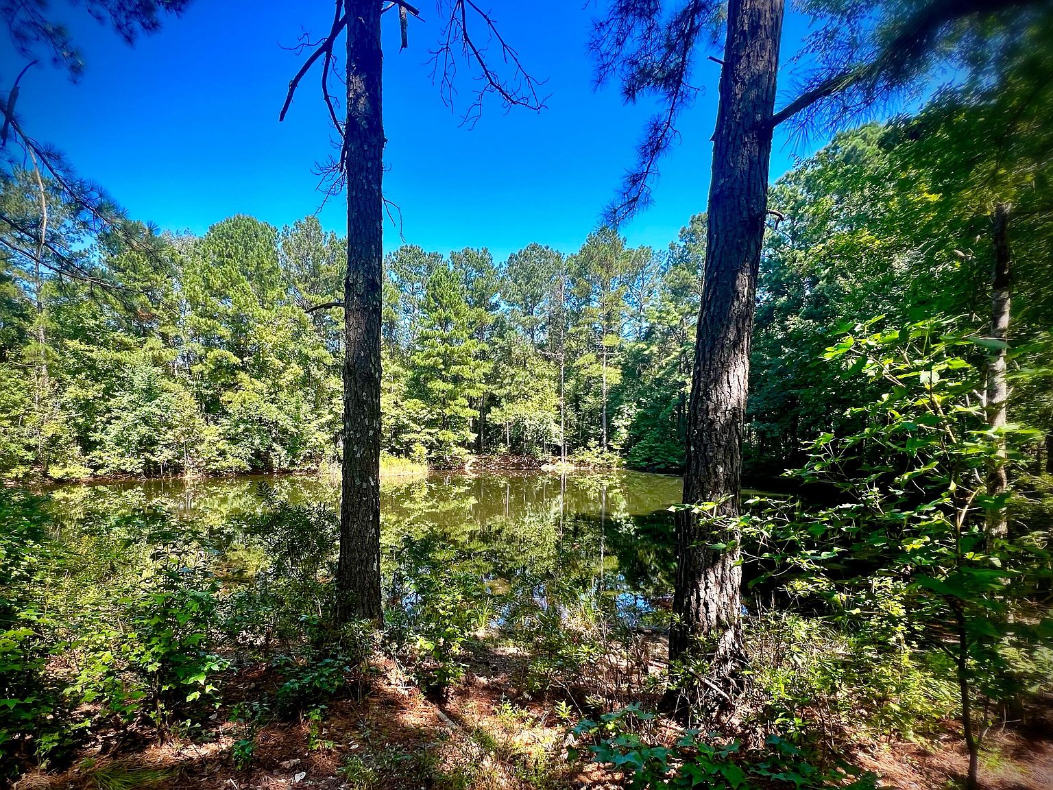 900 County Line Rd, Harlem, GA 30814 Zillow