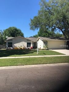 630 Shady Nook Dr, Brandon, FL, 33511