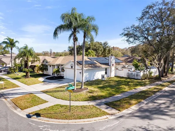 15101 Redvale Dr, Tampa, FL 33625