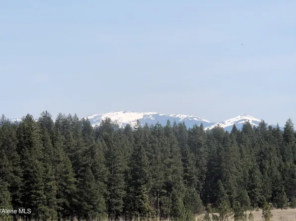 1231 Bill Morris Rd, Plummer, ID 83851