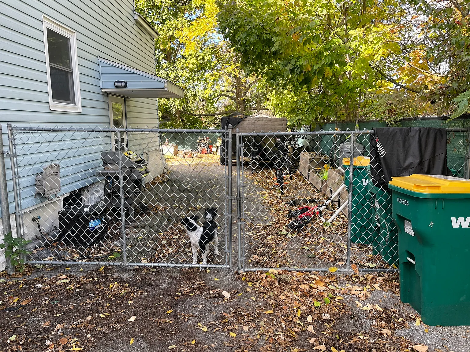 2 bed, 900 sqft, $1,250 — Photo 4