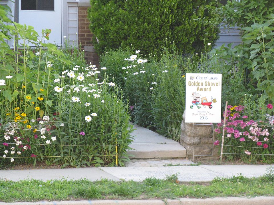 Flowers Butterflies Birds Bees Herbs !