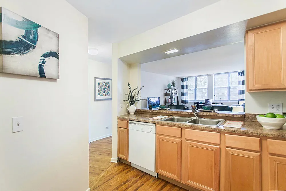 Studio, 1.0 bath, 500 sqft, $1,736 — Photo 3