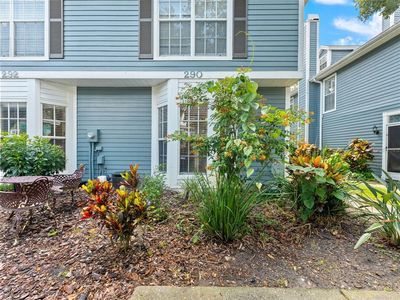 290 Winchester Way, Palm Harbor, FL, 34684