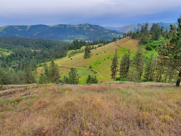 136 Heavy Grace Ln, Kamiah, ID 83536