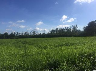 Joyner Swamp Rd, Galivants Ferry, SC 29544