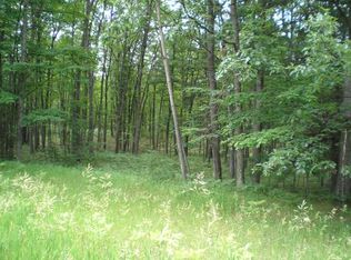 0 Robin Hood Dr, Hubbard Lake, MI 49747