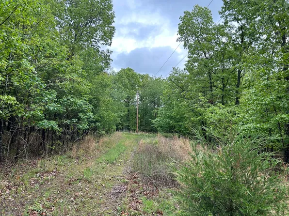 264 County Road 101, Alton, MO 65606