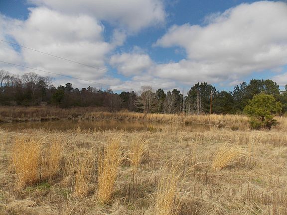 5th image of 4232 Double Branches Road