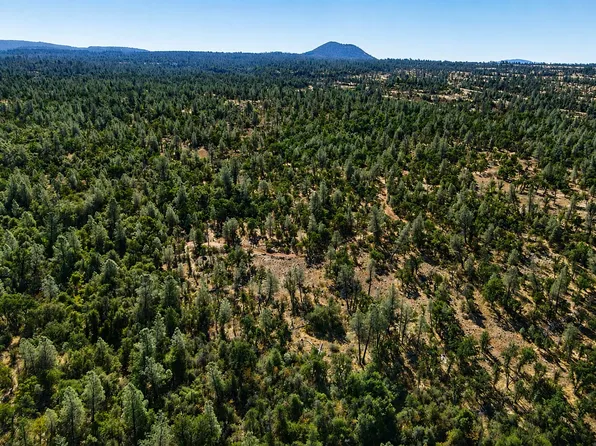 Nsa Dersch Rd, Shingletown, CA 96088