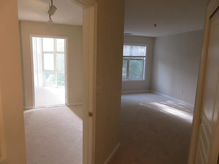 5565 Seminary Rd #208 — Photo 43