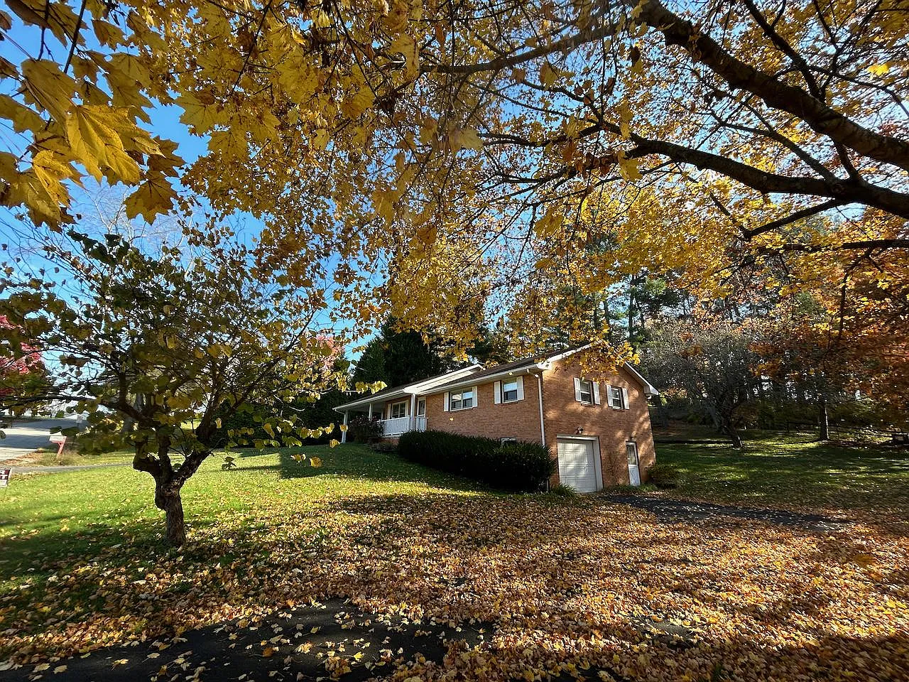 1904 Lindale Dr — Photo 3