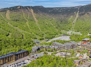 69 Hourglass Drive #205, Stowe, VT 05672