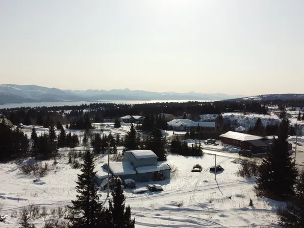 32330 Falls Creek Rd, Homer, AK 99603