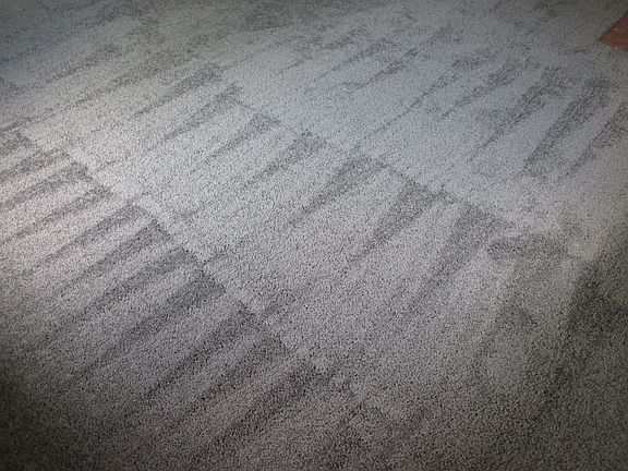 Unit #2 Living Room Carpet