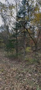 0 Brook Rd LOT 2-53, Dittmer, MO, 63023
