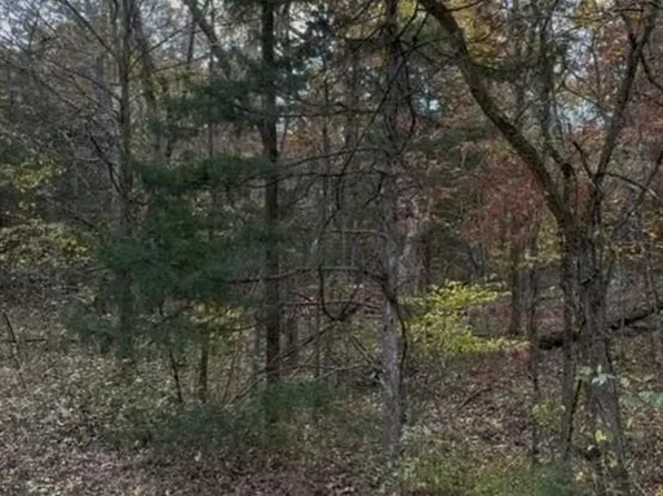 0 Brook Rd Lot 2-53, Dittmer, MO 63023