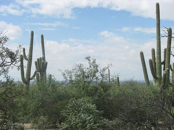 3rd image of 5232 N Sonoran Canyon Pl Unit 33