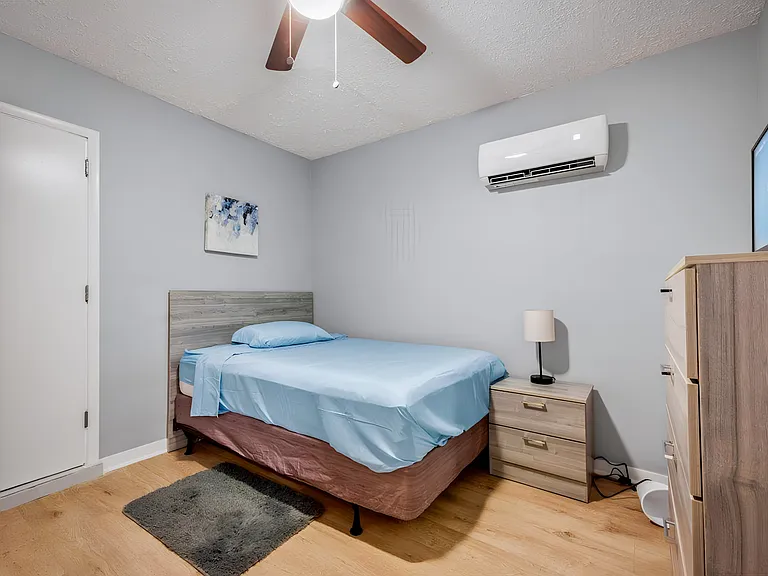 Holly Hill Cv — Photo 1