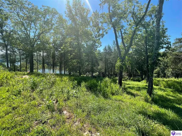 40 Beach Cove Ct, Brandenburg, KY 40108