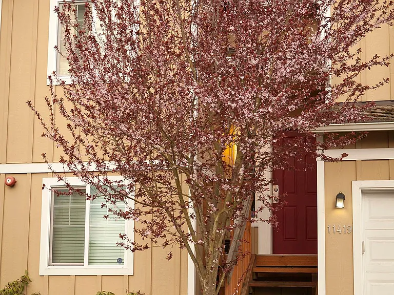 11421 20th Ave S — Photo 2