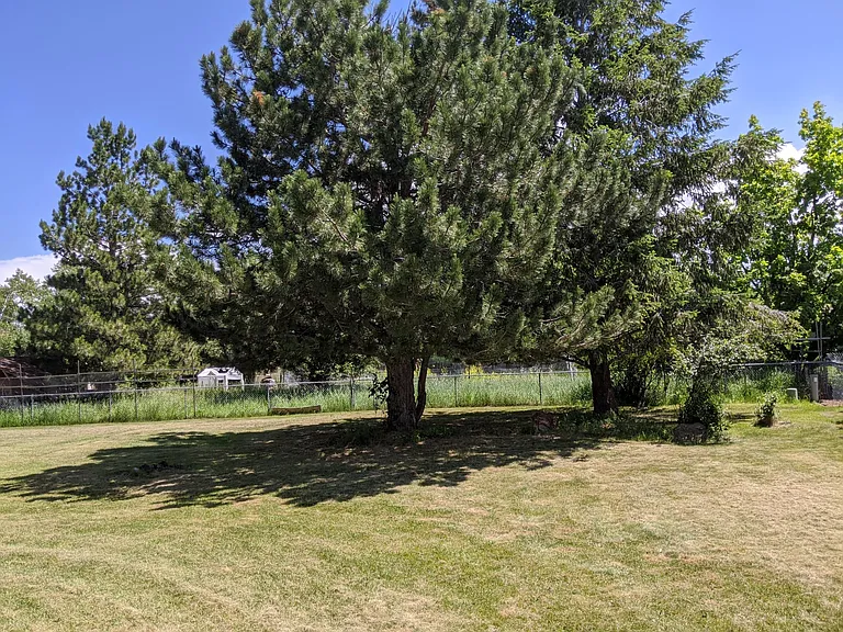 3302 Wagon Wheel Rd — Photo 15
