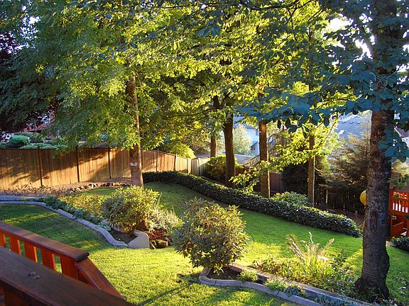 Backyard (No Play Structure anymore)