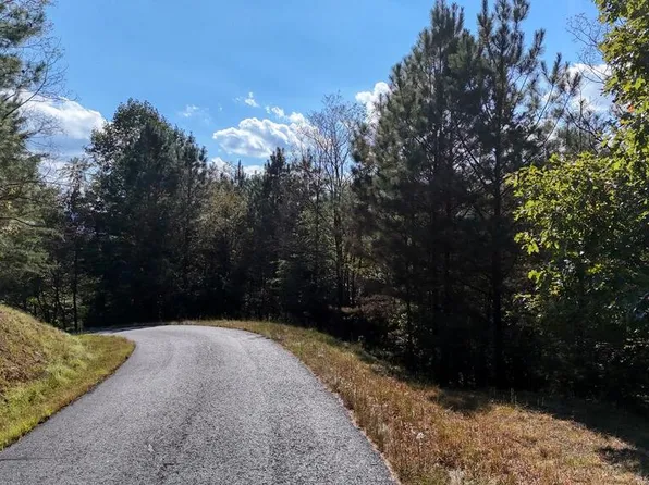 83 Treeline Dr, Blairsville, GA 30512