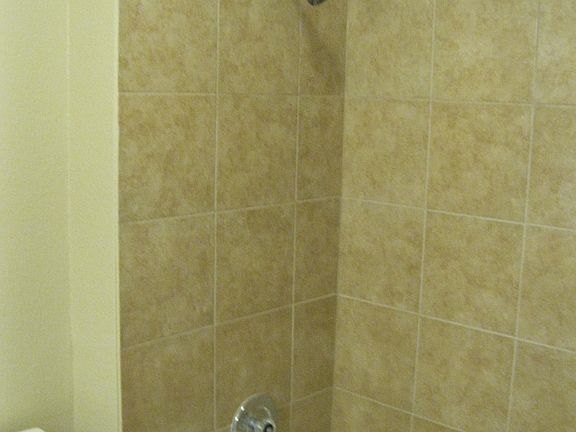 Tub-Shower