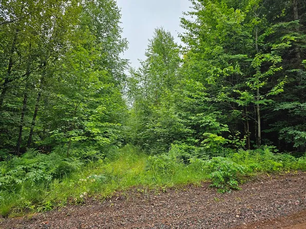 Gerry Rd, Iron Belt, WI 54536