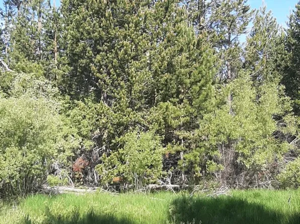 Nka Cruikshank Dr, Crescent, OR 97733