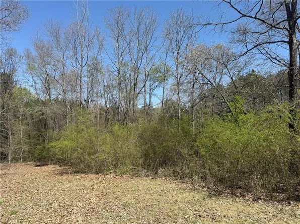 78 Mullinax Rd, Taylorsville, GA 30178