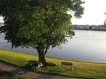 lake view directly off porch