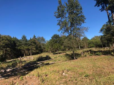 9 Bennett Orchard Est, London, AR, 72847