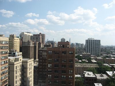 3rd image of 525 W Hawthorne Pl APT 1601