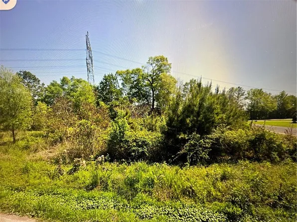 33870 Perkins Crossing Rd, Walker, LA 70785