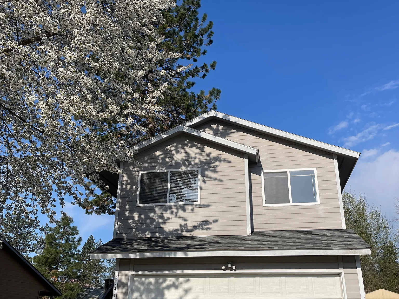 3 bed, 1343 sqft, $2,000 — Photo 2