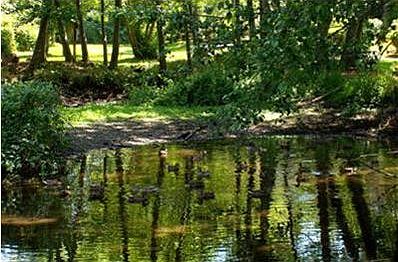 Private Pond and walking trails