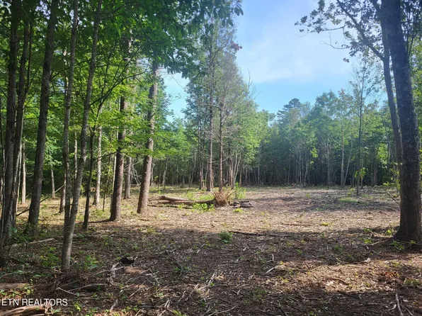 Mountain Ash Dr, Monterey, TN 38574
