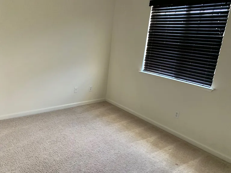 492 Tilden Cir — Photo 12