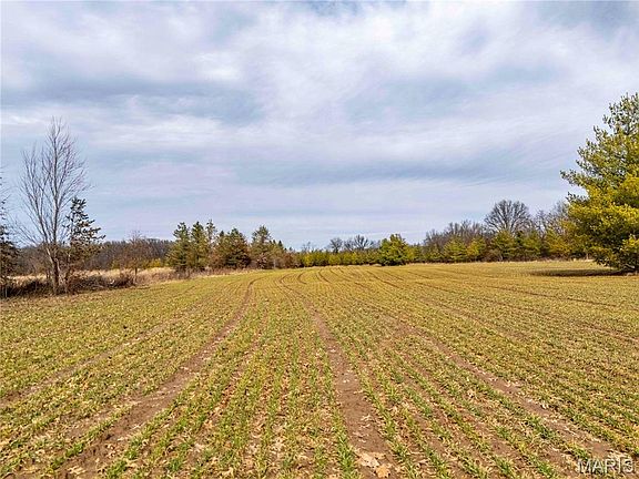 3rd image of 0 Red Oak Rd