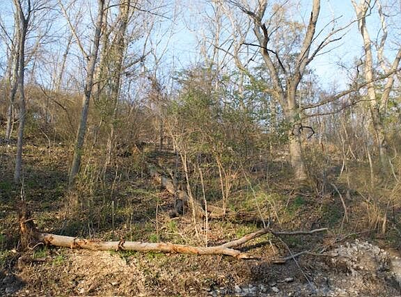 4th image of 550 N 10th Avenue Lot 5