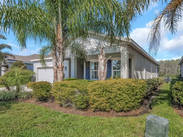 2427 Portico St, Odessa, FL 33556