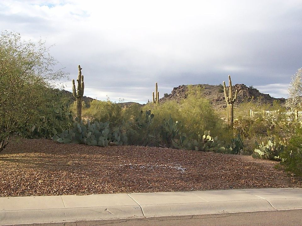 South Mountain Park Across the Street