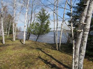 9234 Pachy Rd, Carp Lake, MI 49718