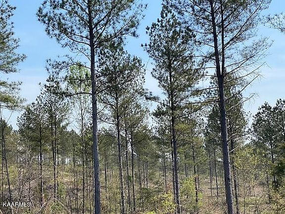 5th image of 5 County Road 351